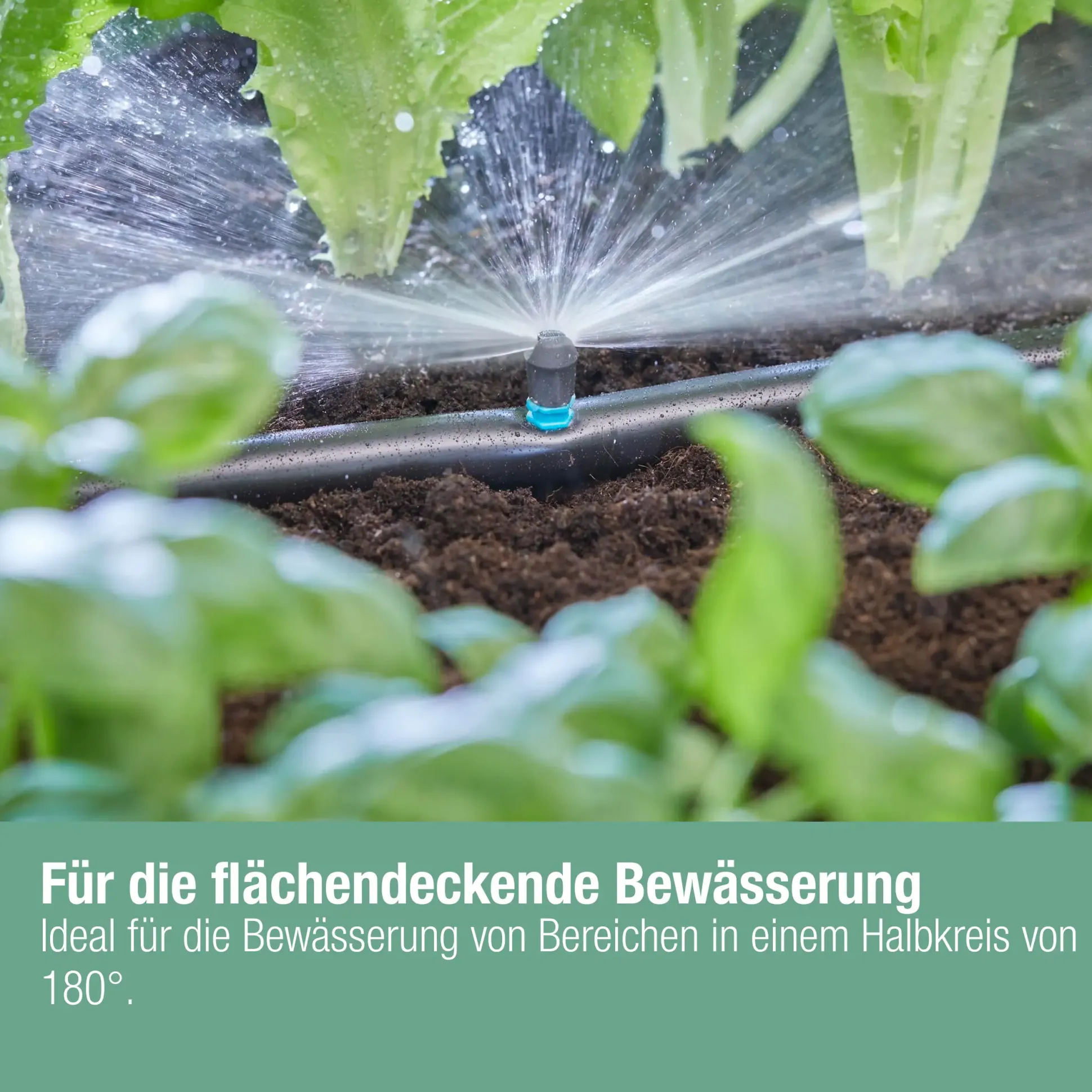 Gardena Sprühdüse, 180°