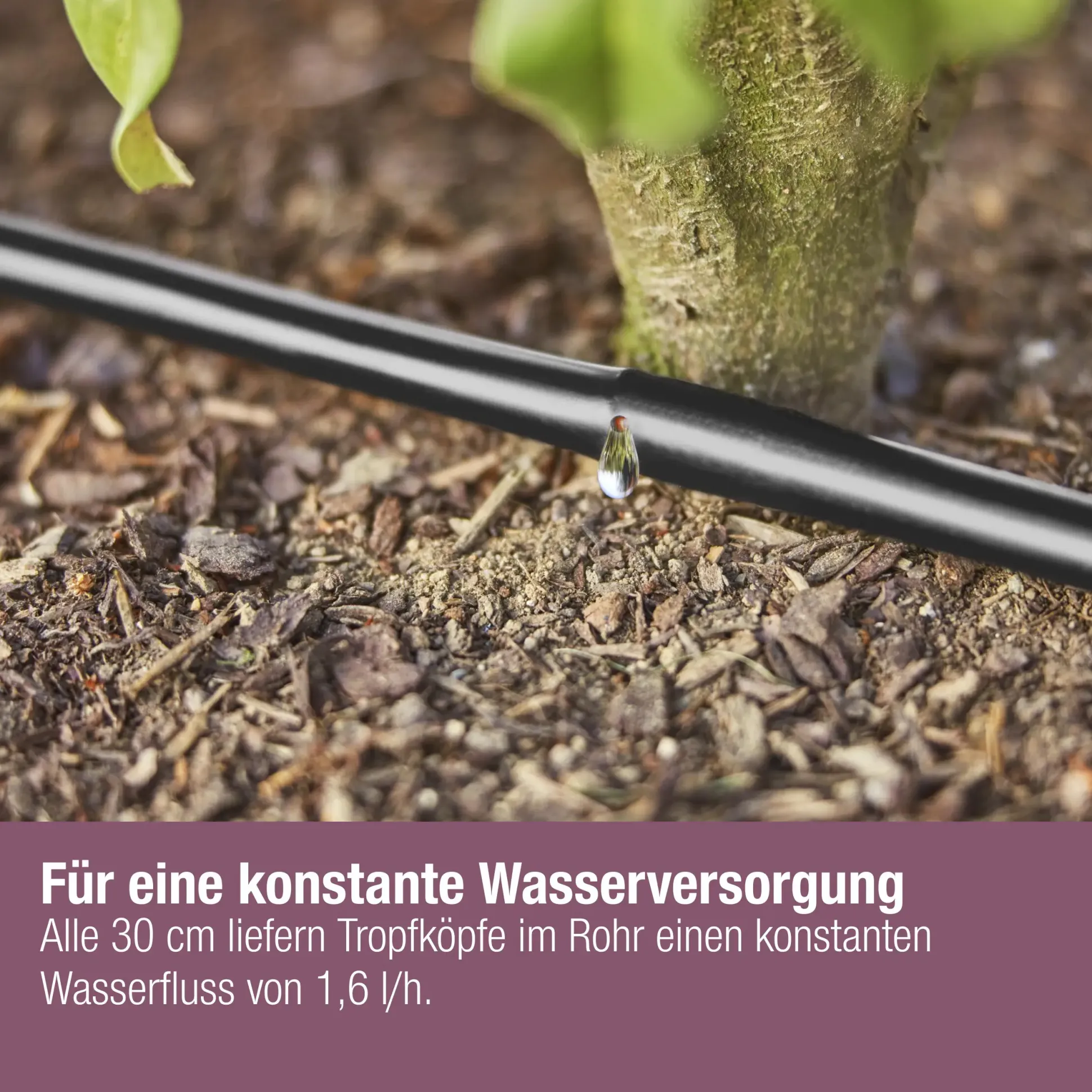 Gardena Tropfbewässerung Set Hecke/Sträucher 50 m