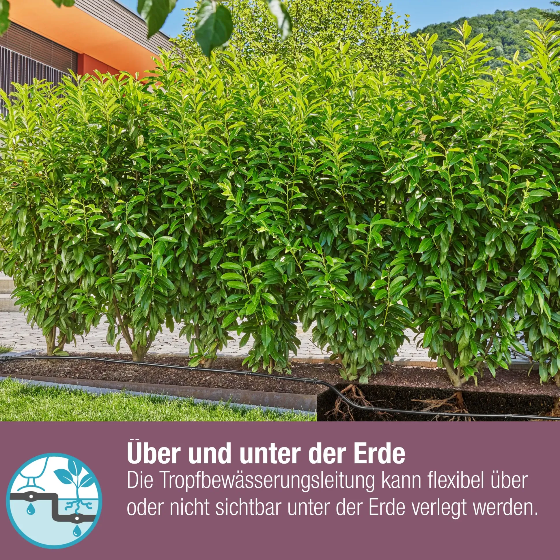 Gardena Tropfbewässerung Set Hecke/Sträucher 50 m