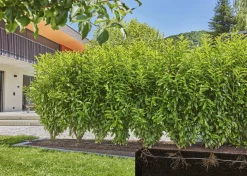 Gardena Tropfrohr, 1,6 l/h