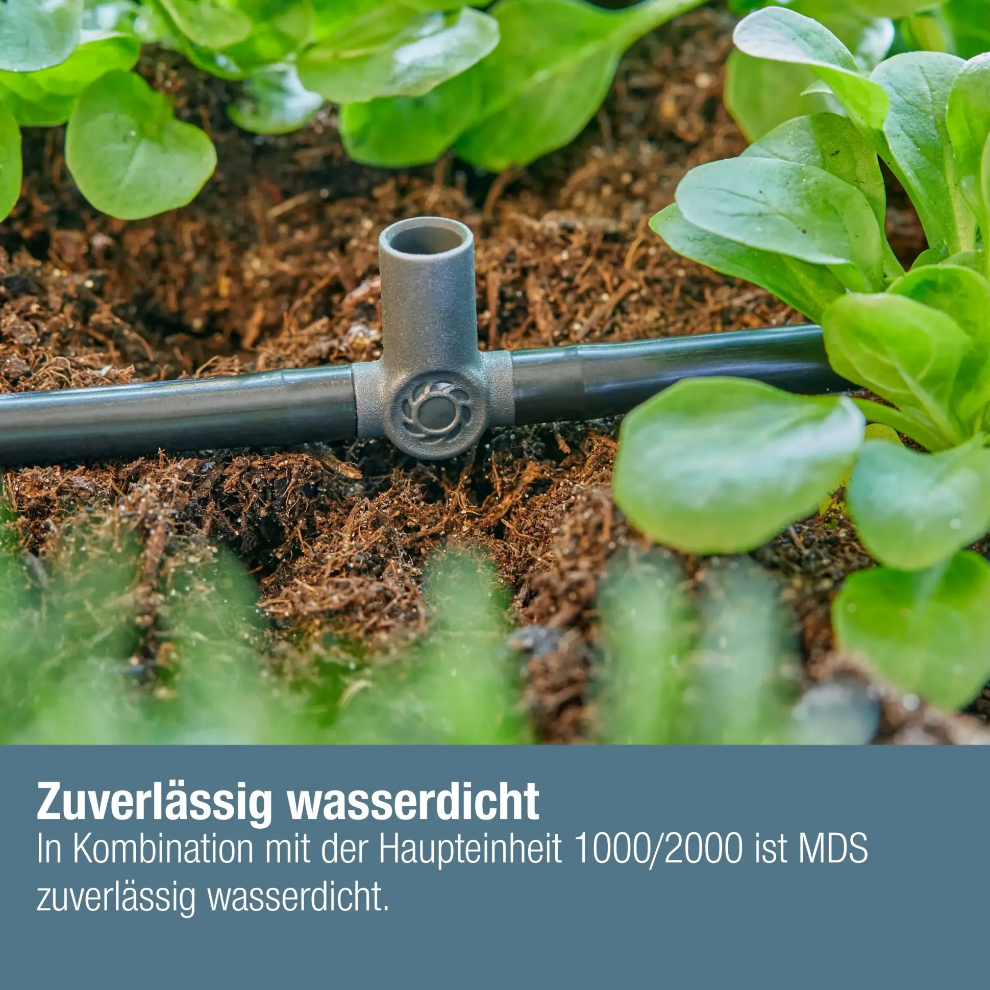 Gardena T-Stück für Sprühdüsen/Endtropfer 4,6 mm (3/16")