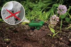 Gardigo Solar Ameisenabwehr Kleine Bauweise, große Wirkung