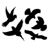Gardigo Vogel Silhouetten 5 er Set