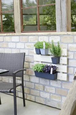 Geli Pflanztopf Easy 37 x 10 cm anthrazit für Europalette