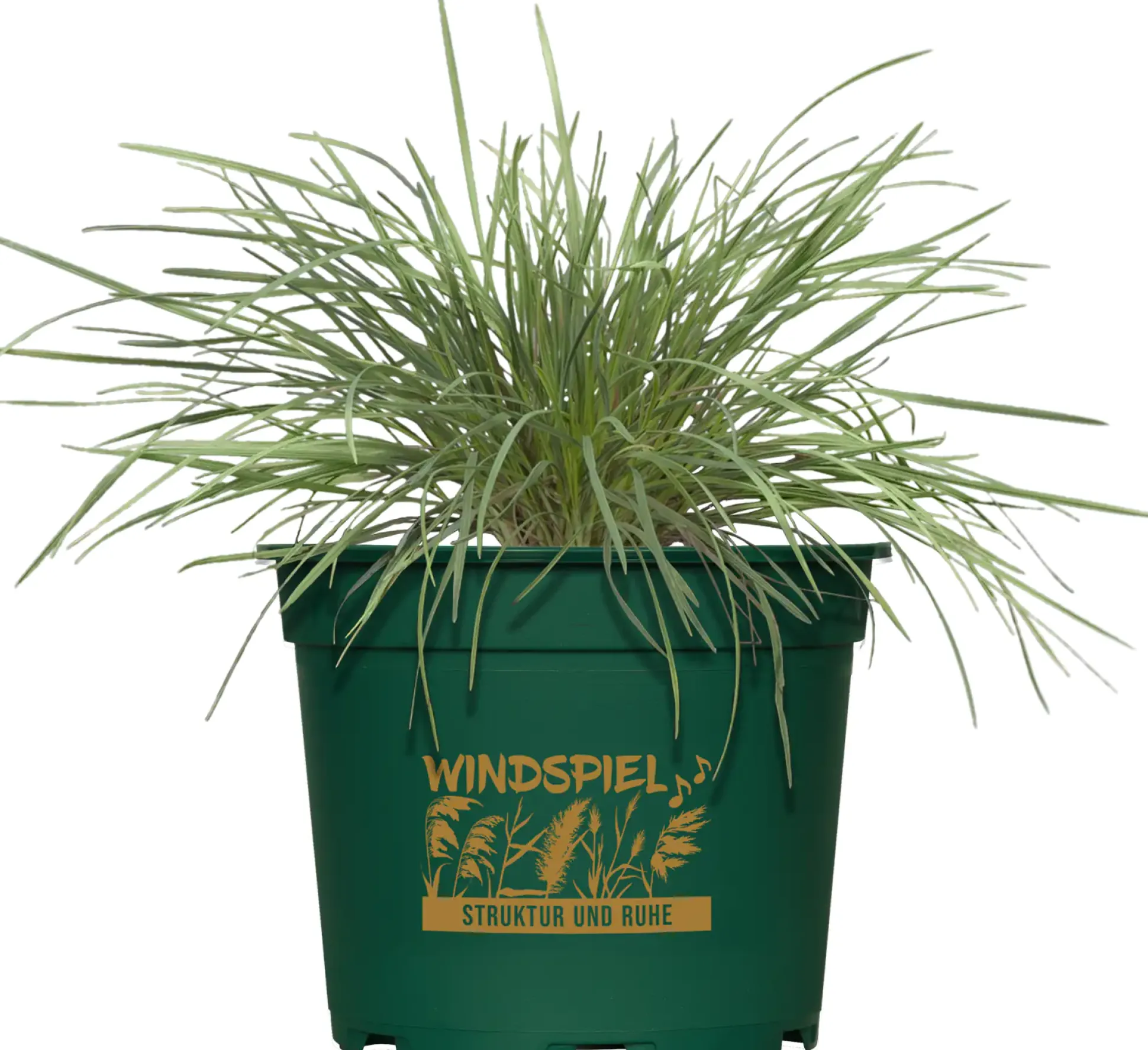 Gräsermix Windspiel 17 cm Topf