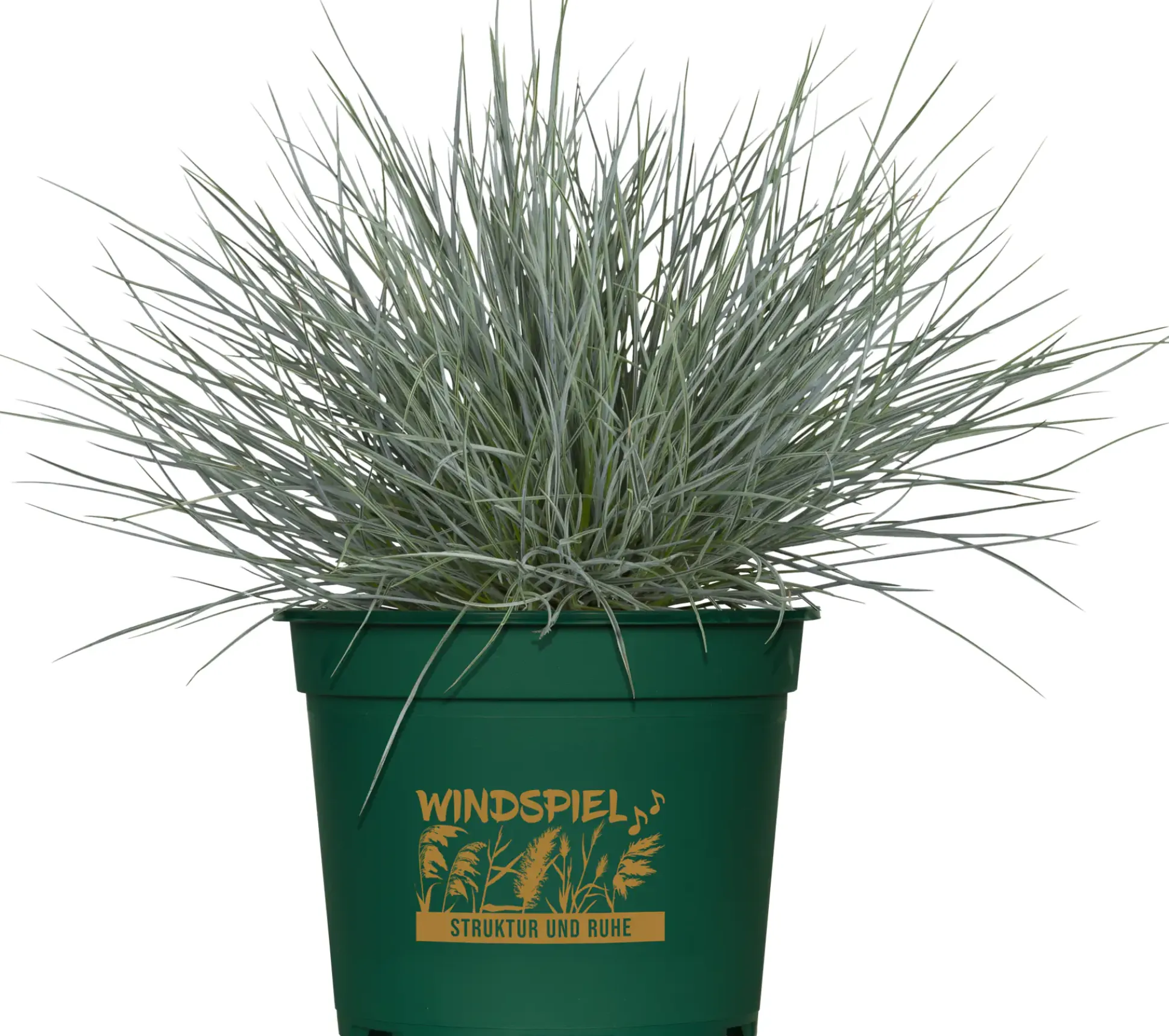 Gräsermix Windspiel 17 cm Topf