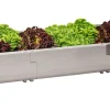 Juwel Hochbeet Timber Erweiterungs-Set 60 x 20 cm