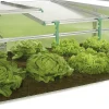 Juwel Premium Frühbeet BIOSTAR 1500 150 x 80 x 50/40 cm