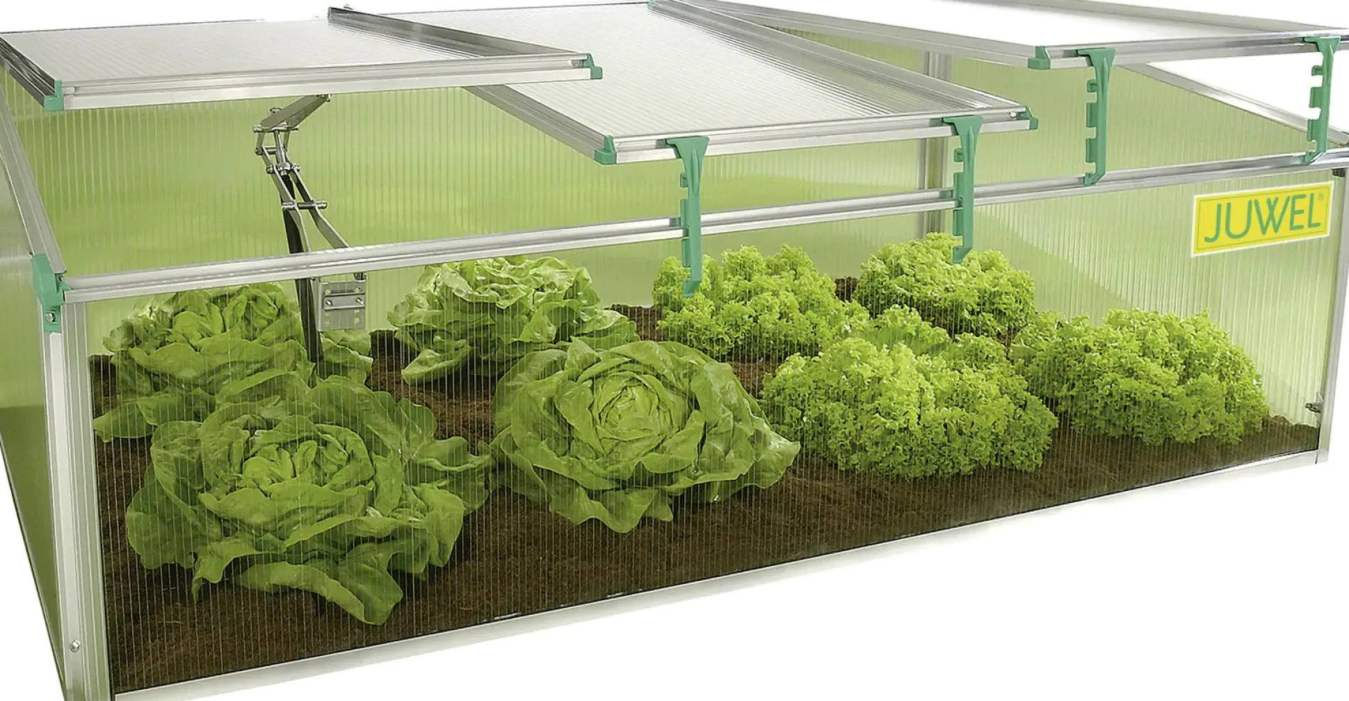 Juwel Premium Frühbeet BIOSTAR 1500 150 x 80 x 50/40 cm