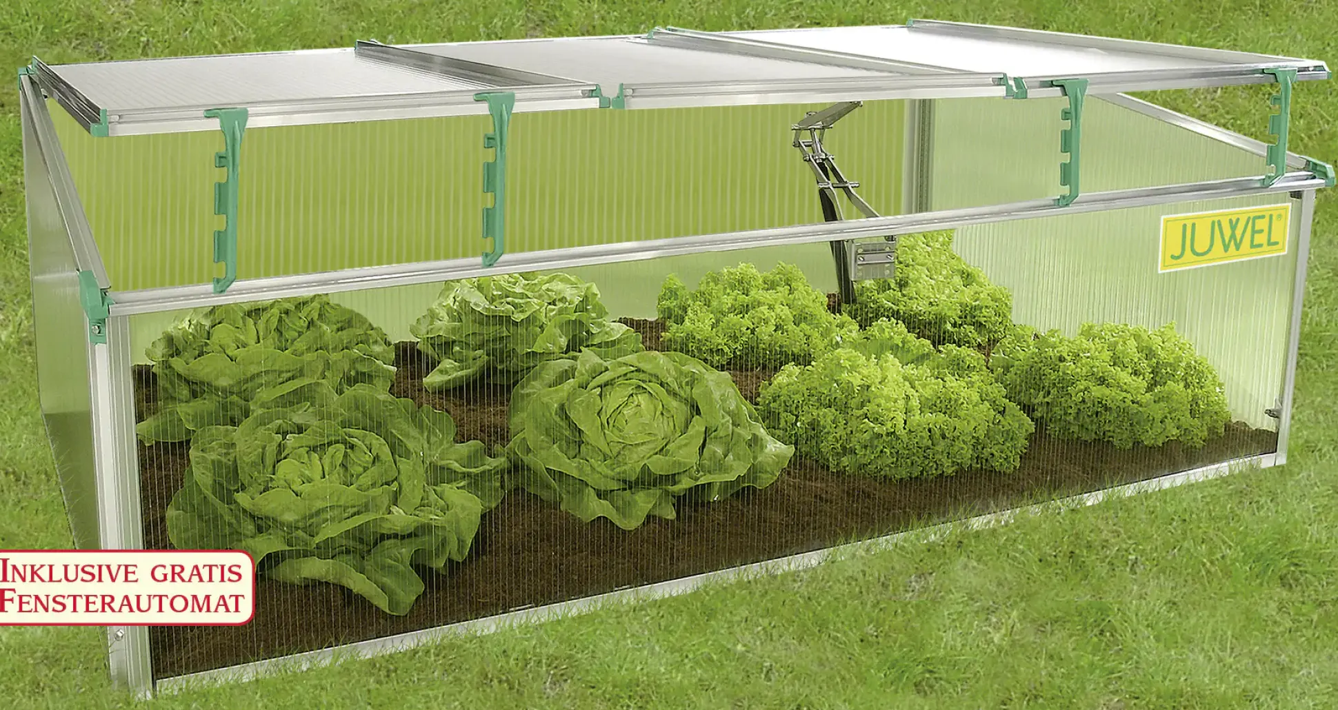 Juwel Premium Frühbeet BIOSTAR 1500 150 x 80 x 50/40 cm