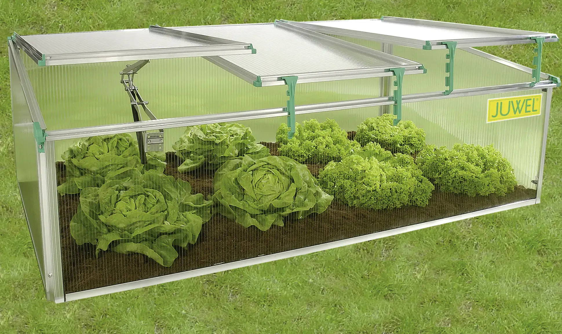 Juwel Premium Frühbeet BIOSTAR 1500 150 x 80 x 50/40 cm