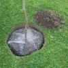 Kerbl Wühlmauskorb groß 60 cm verzinkt