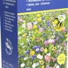 Kiepenkerl Blumenmischung Garden Love Inhalt reicht für ca. 100 m²