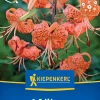 Kiepenkerl Frühjahrsblumenzwiebel Tigerlilie Lilium tigrinum 1 Stück