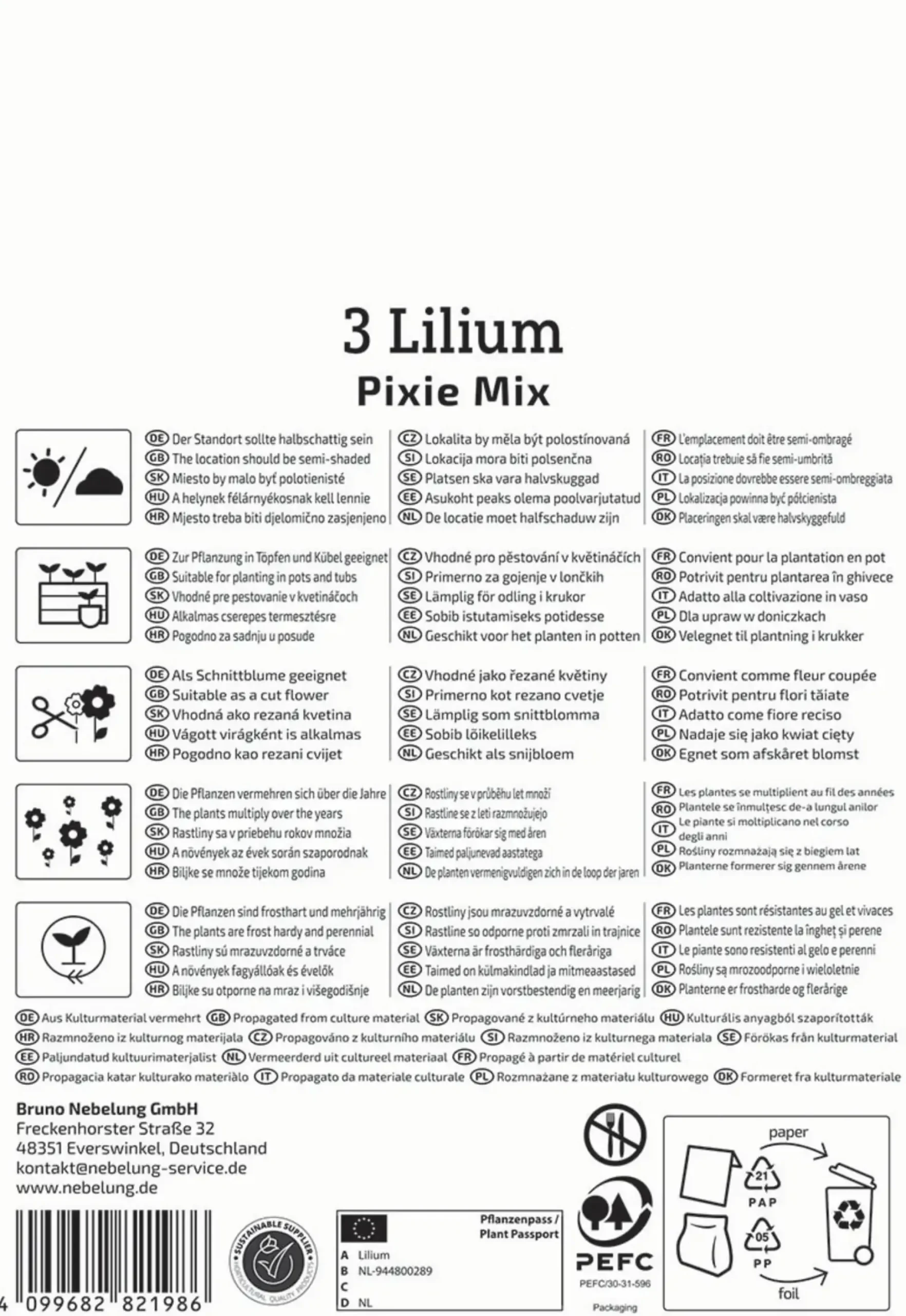 Kiepenkerl Frühjahrsblumenzwiebel Asiatische Lilie Pixie Mix 3 Stück