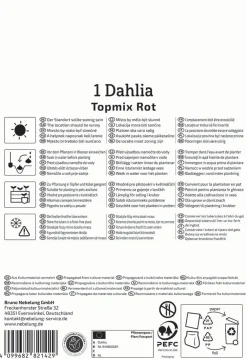 Kiepenkerl Frühjahrsblumenzwiebel Beet- & Topf-Dahlie Topmix Rot 1 Stück
