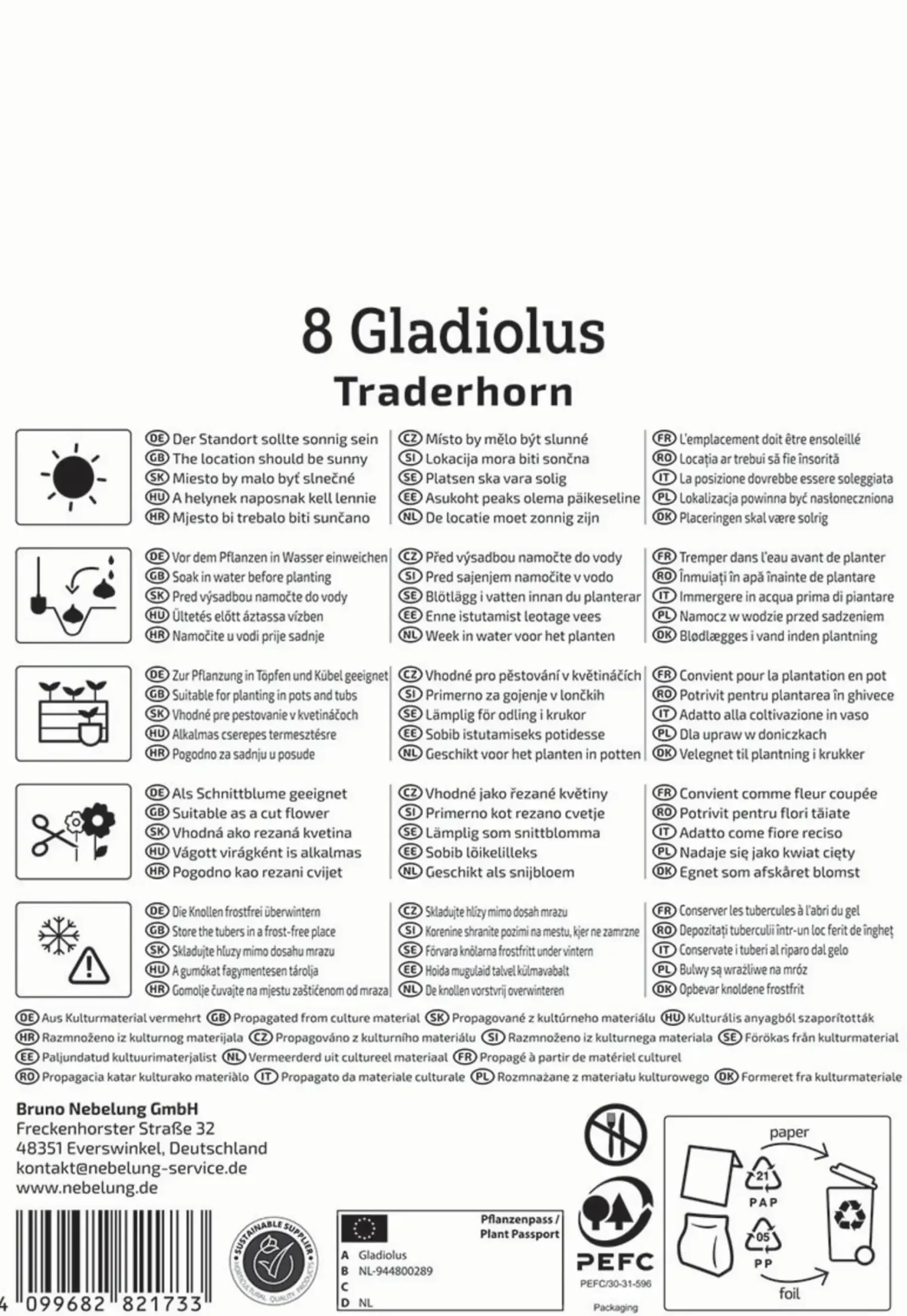 Kiepenkerl Frühjahrsblumenzwiebel Großblumige Gladiole Traderhorn 8 Stück