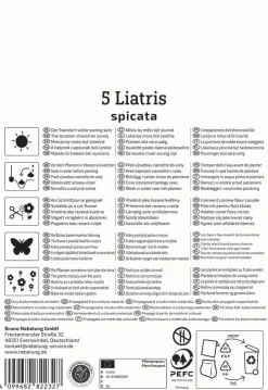 Kiepenkerl Frühjahrsblumenzwiebel Prachtscharte Liatris Blau 5 Stück