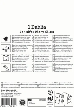 Kiepenkerl Frühjahrsblumenzwiebel Dekorative Dahlie Jennifer Mary Ellen 1 Stück