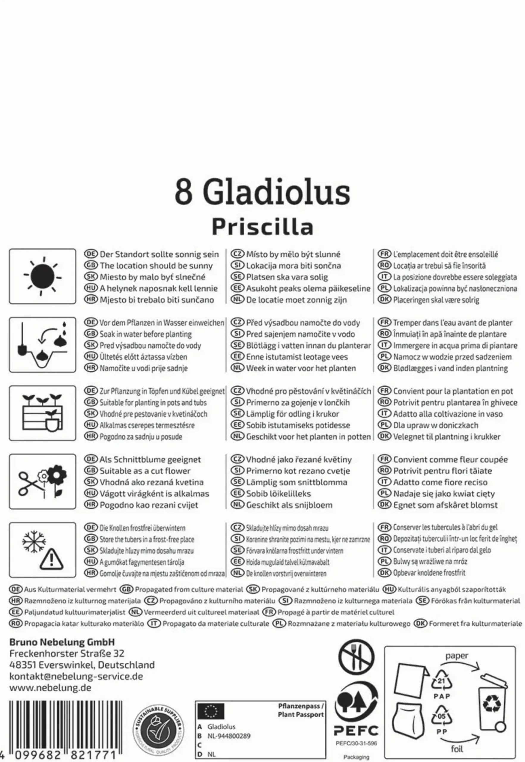 Kiepenkerl Frühjahrsblumenzwiebel Großblumige Gladiole Priscilla 8 Stück