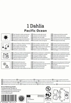 Kiepenkerl Frühjahrsblumenzwiebel Dekorative Dahlie Pacific Ocean 1 Stück