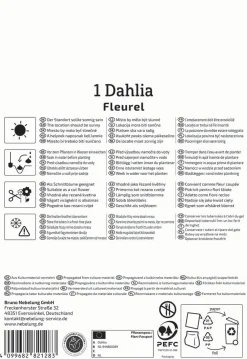 Kiepenkerl Frühjahrsblumenzwiebel Großblütige Dekorativ-Dahlie Fleurel 1 Stück