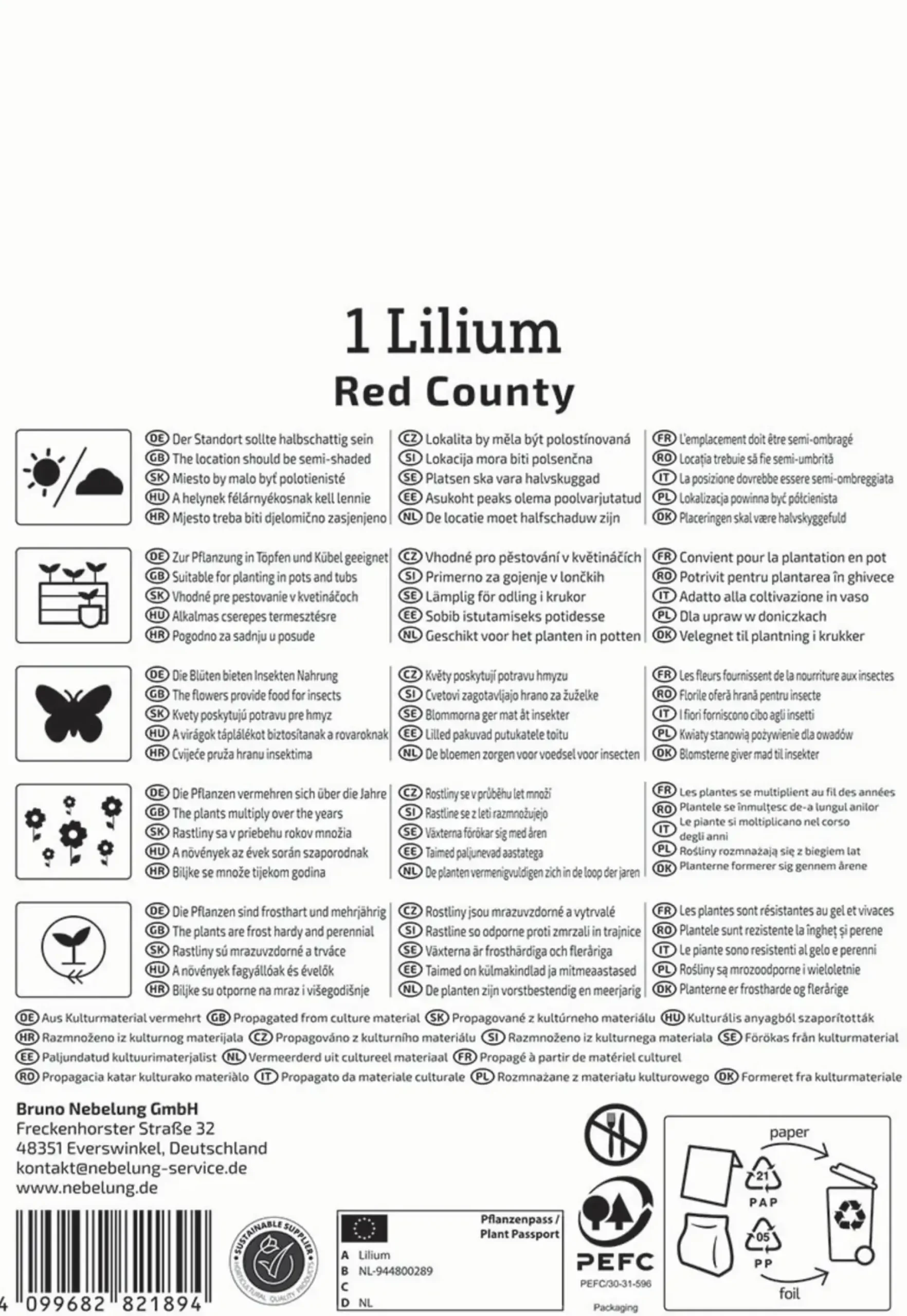 Kiepenkerl Frühjahrsblumenzwiebel Asiatische Lilie Red County 1 Stück
