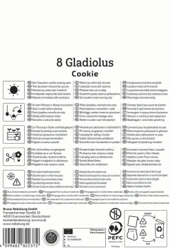 Kiepenkerl Frühjahrsblumenzwiebel Gladiole Cookie 8 Stück