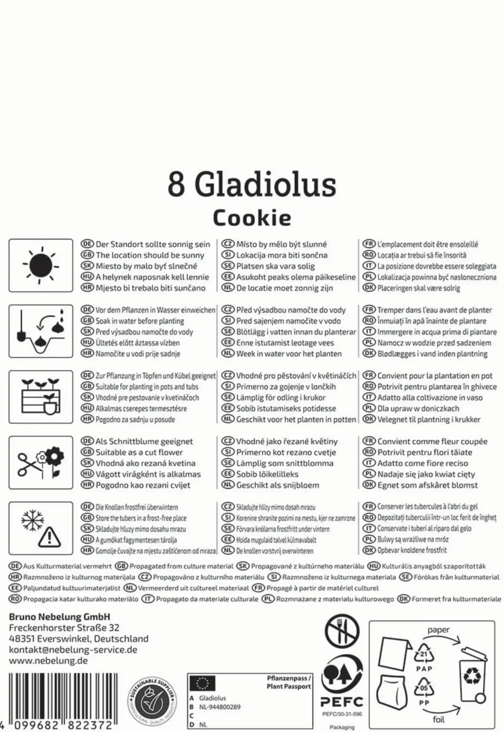 Kiepenkerl Frühjahrsblumenzwiebel Gladiole Cookie 8 Stück