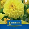 Kiepenkerl Frühjahrsblumenzwiebel Beet- & Kübel-Dahlie Sisa 1 Stück