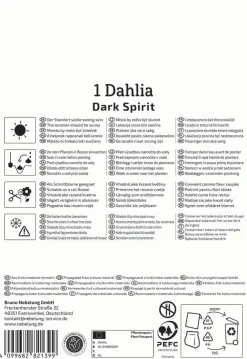 Kiepenkerl Frühjahrsblumenzwiebel Pompon-Dahlie Dark Spirit 1 Stück