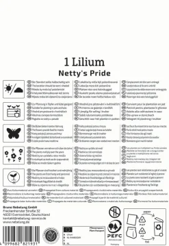 Kiepenkerl Frühjahrsblumenzwiebel Asiatische Lilie Netty's Pride 1 Stück