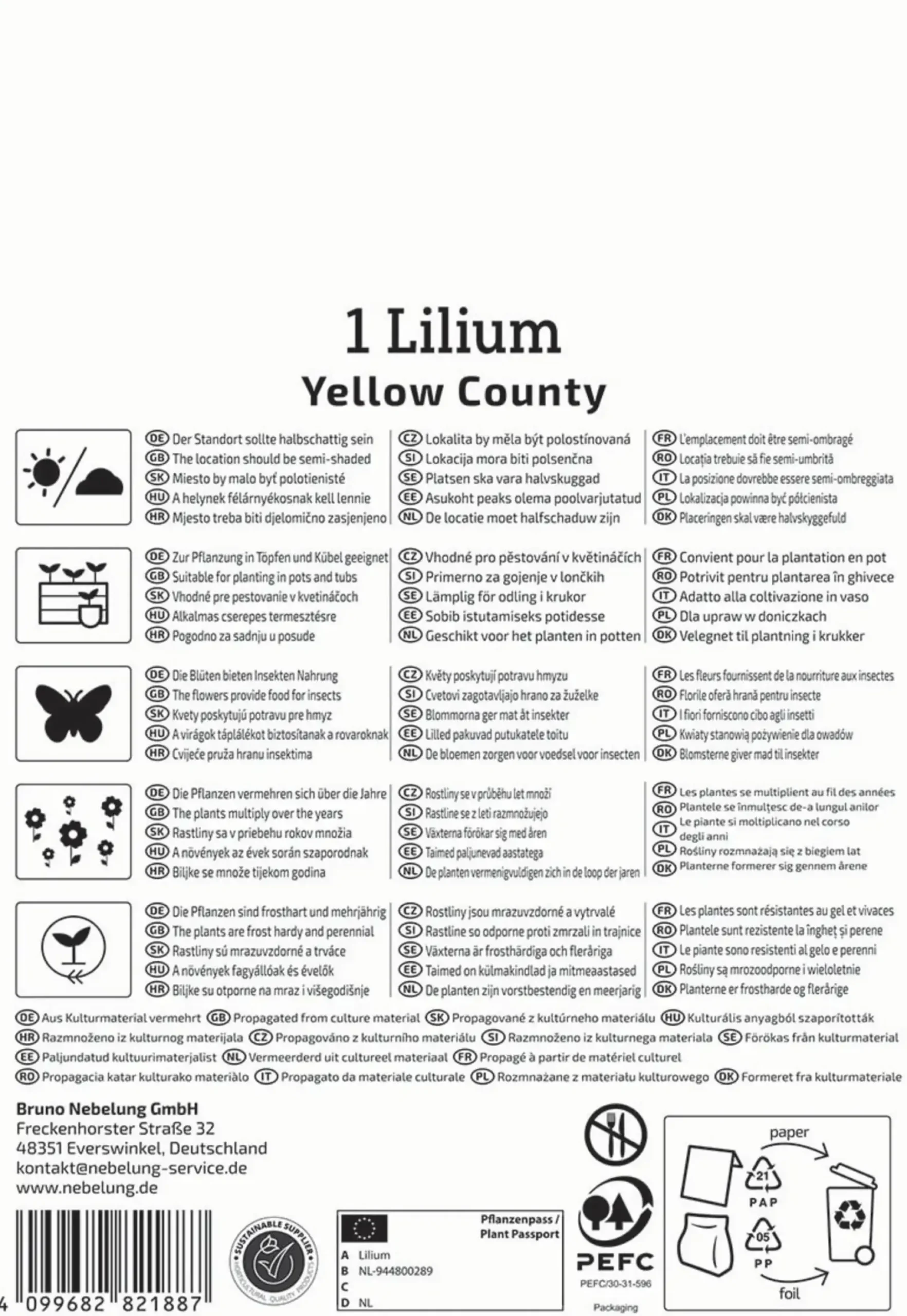 Kiepenkerl Frühjahrsblumenzwiebel Asiatische Lilie Yellow County 1 Stück