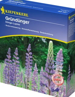 Kiepenkerl Gründünger Düngelupinen Lupinus angustifolius, Inhalt: 1 kg