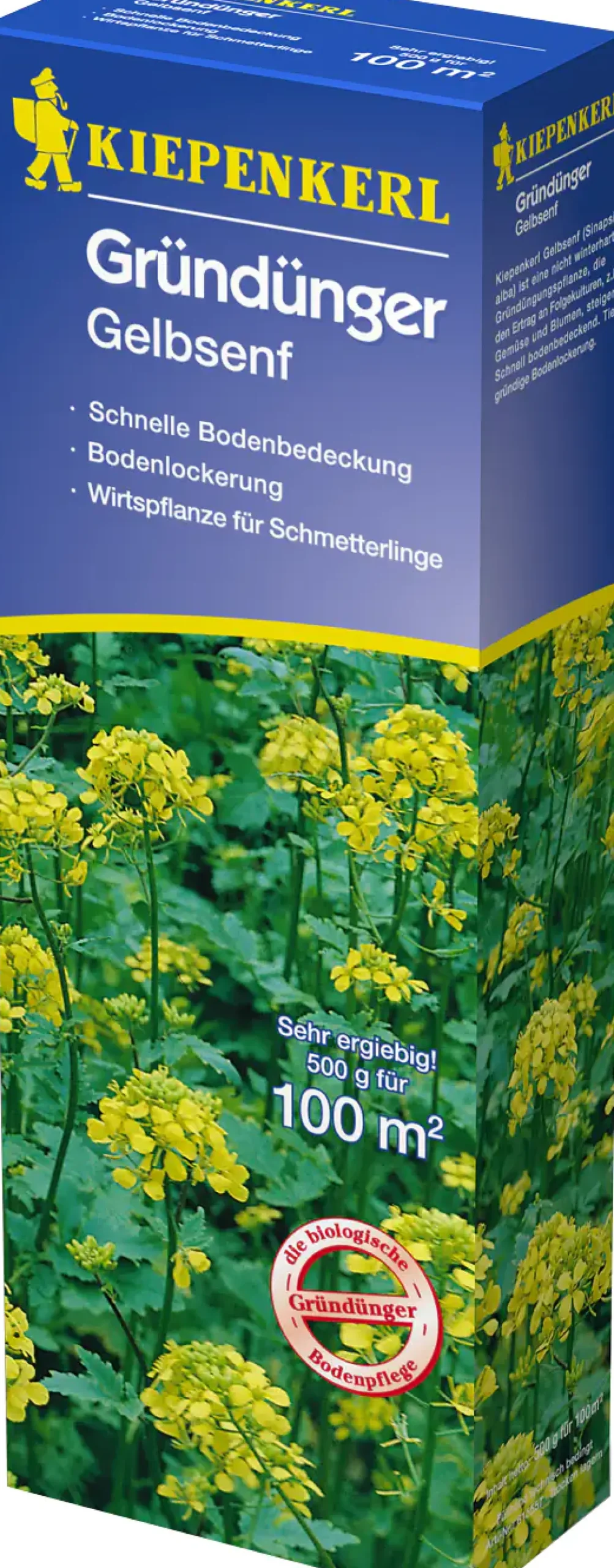 Kiepenkerl Gründünger Gelbsenf Sinapis alba, Inhalt: 500 g