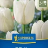 Kiepenkerl Herbstblumenzwiebel Triumph-Tulpe White Dream 7 Stück