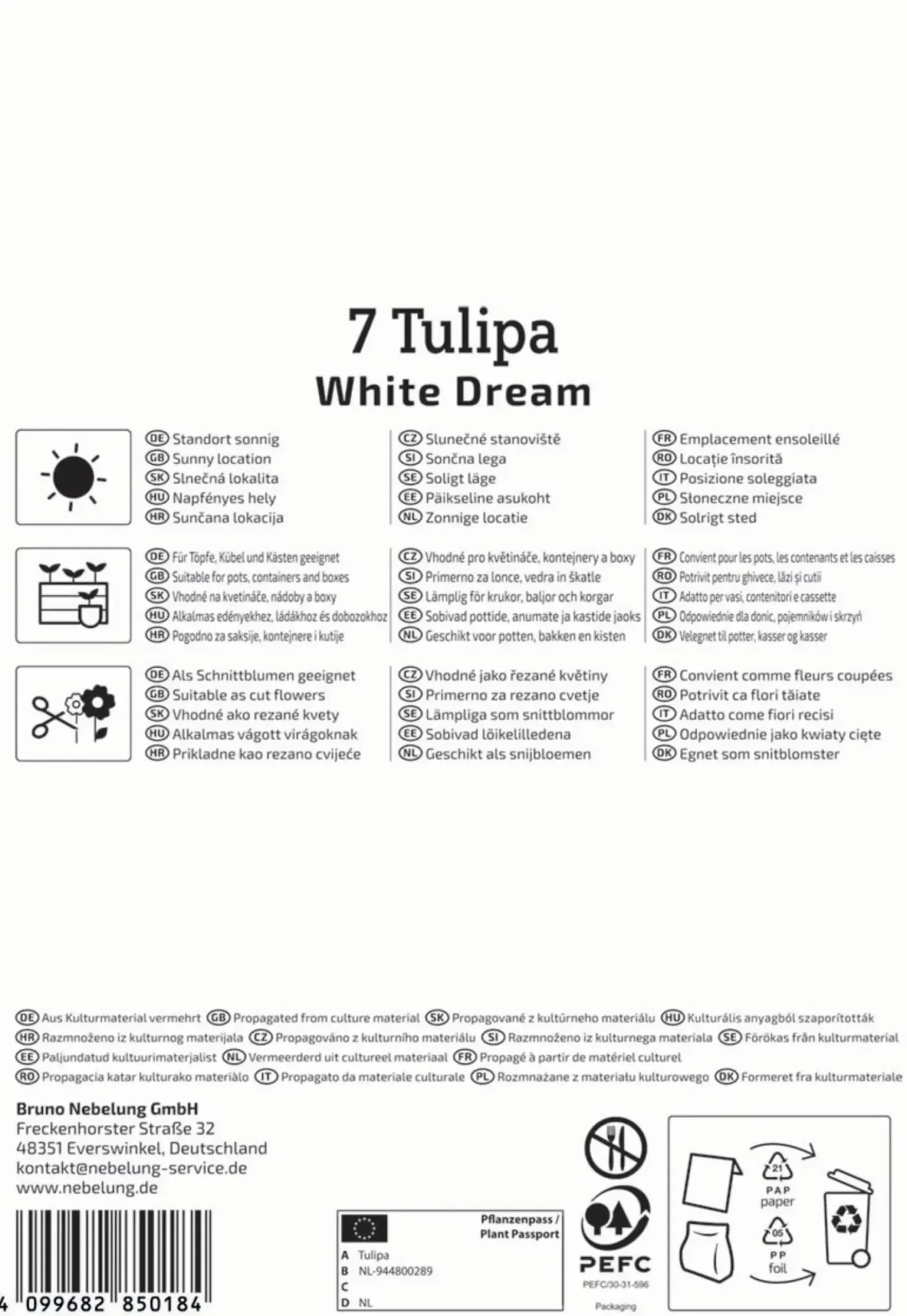 Kiepenkerl Herbstblumenzwiebel Triumph-Tulpe White Dream 7 Stück