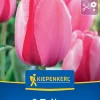 Kiepenkerl Herbstblumenzwiebel Darwin-Hybrid-Tulpe Pink Impression 8 Pflanzen