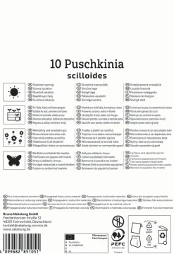 Kiepenkerl Herbstblumenzwiebel Puschkinie 10 Pflanzen