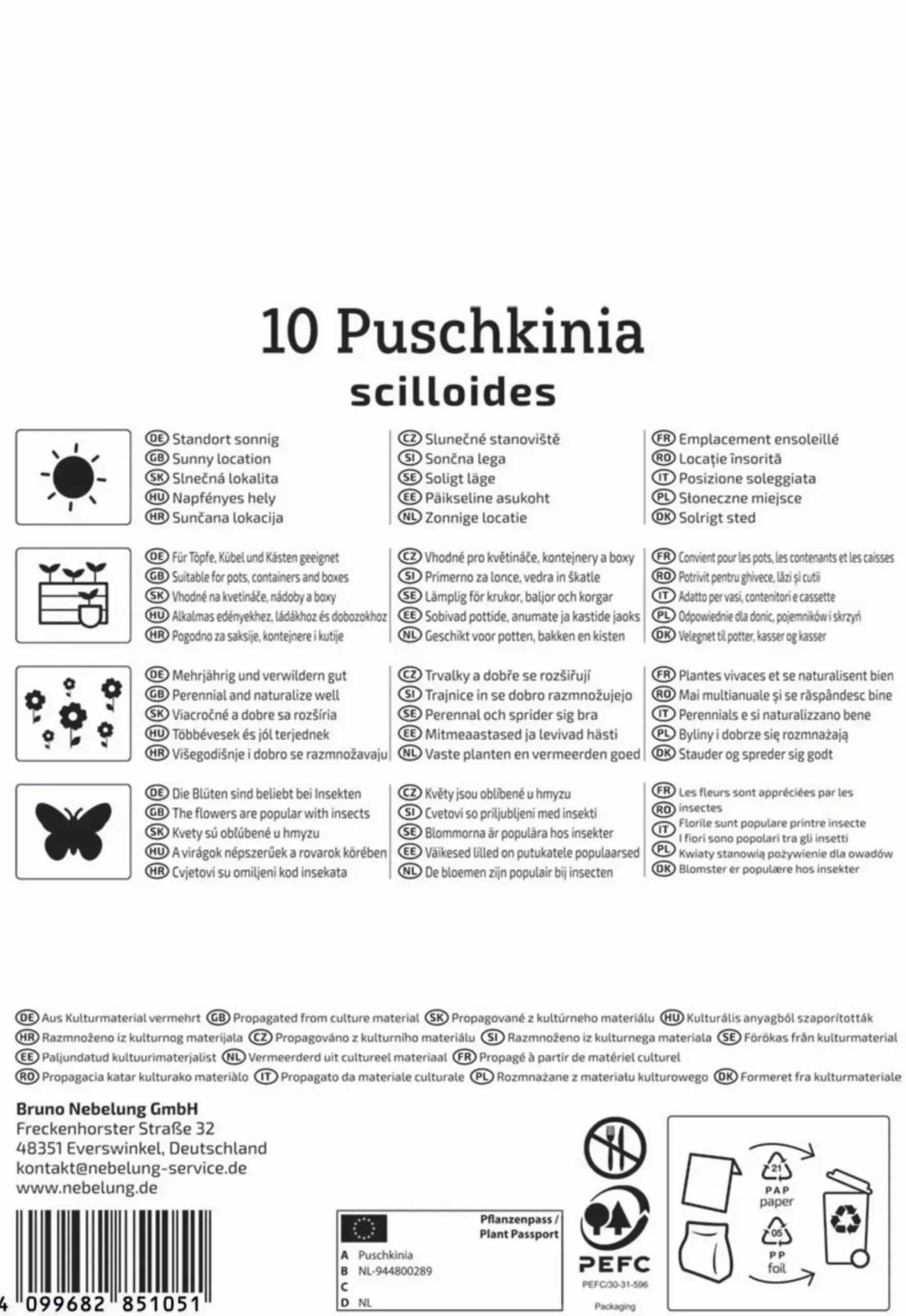Kiepenkerl Herbstblumenzwiebel Puschkinie 10 Pflanzen
