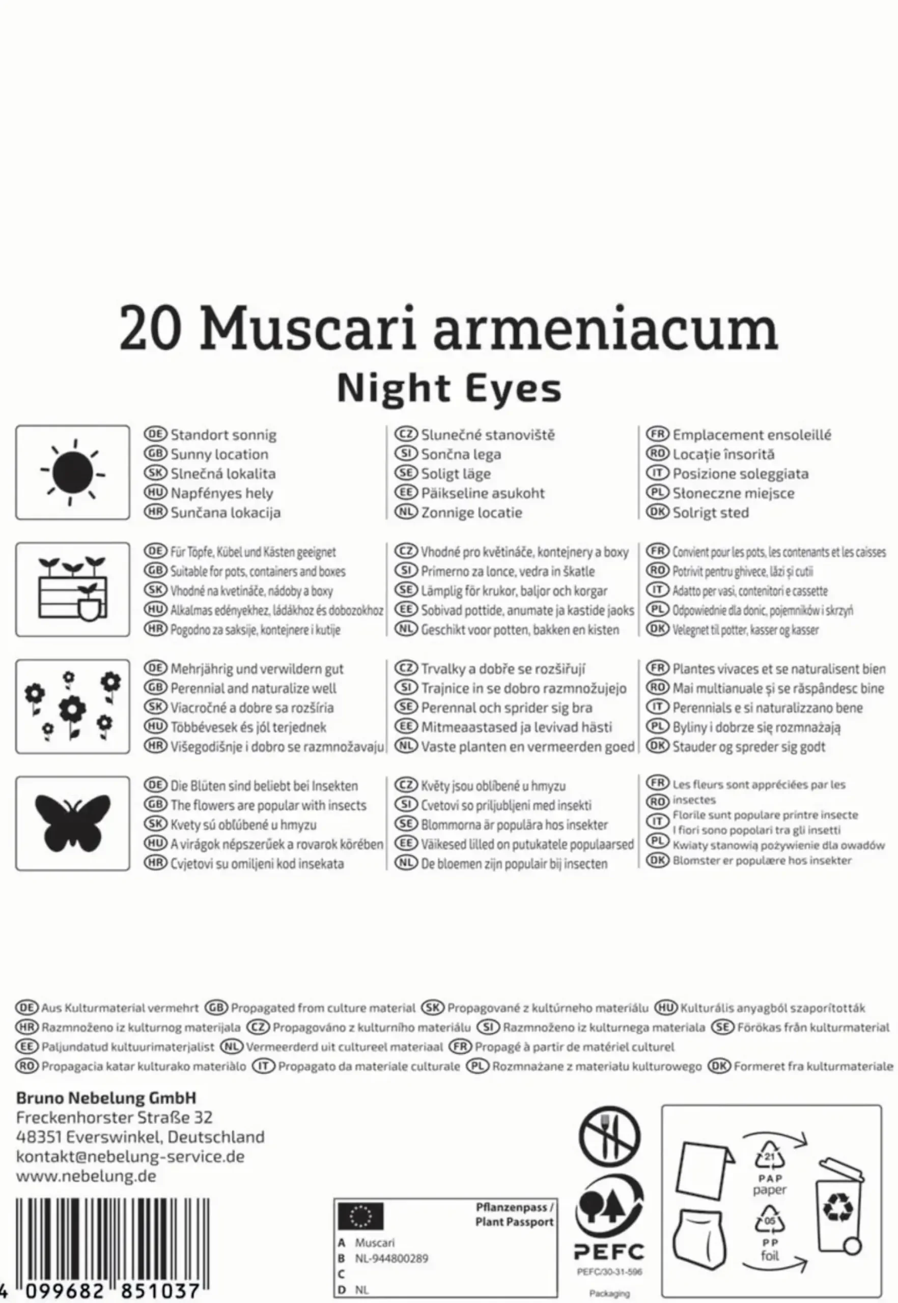 Kiepenkerl Herbstblumenzwiebel Traubenhyazinthe Night Eyes 20 Stück