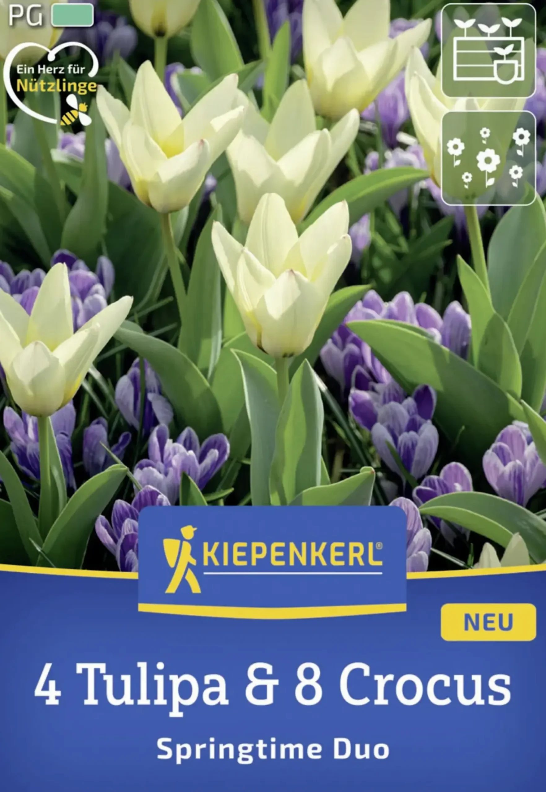 Kiepenkerl Herbstblumenzwiebelmischung Springtime Duo 12 Stück