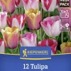 Kiepenkerl Herbstblumenzwiebelmischung Mega-Pack Joyful Garden 12 Stück