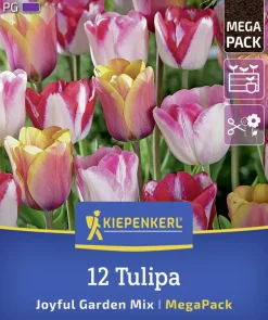 Kiepenkerl Herbstblumenzwiebelmischung Mega-Pack Joyful Garden 12 Stück