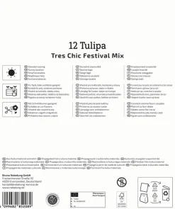 Kiepenkerl Herbstblumenzwiebel Mega-Pack Lilienblütige Tulpen Tres Chic 12 Stück