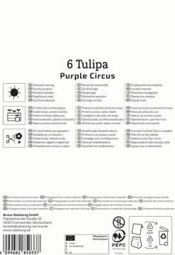 Kiepenkerl Herbstblumenzwiebel Profi-Line Purple Circus 6 Stück