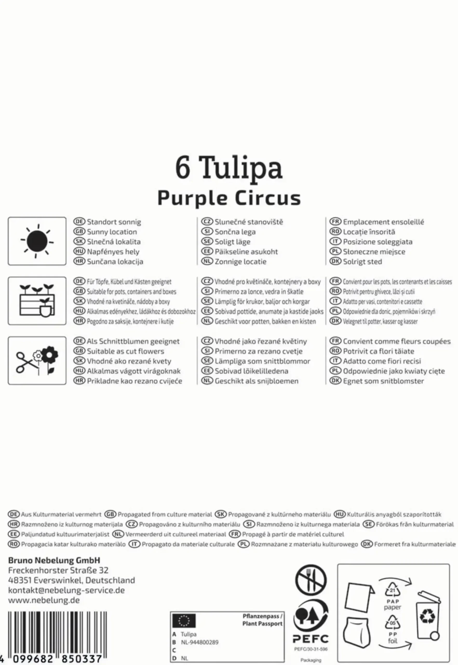 Kiepenkerl Herbstblumenzwiebel Profi-Line Purple Circus 6 Stück
