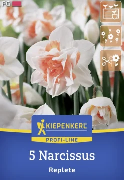 Kiepenkerl Herbstblumenzwiebel Profi-Line Gefüllte Narzisse Replete 5 Stück