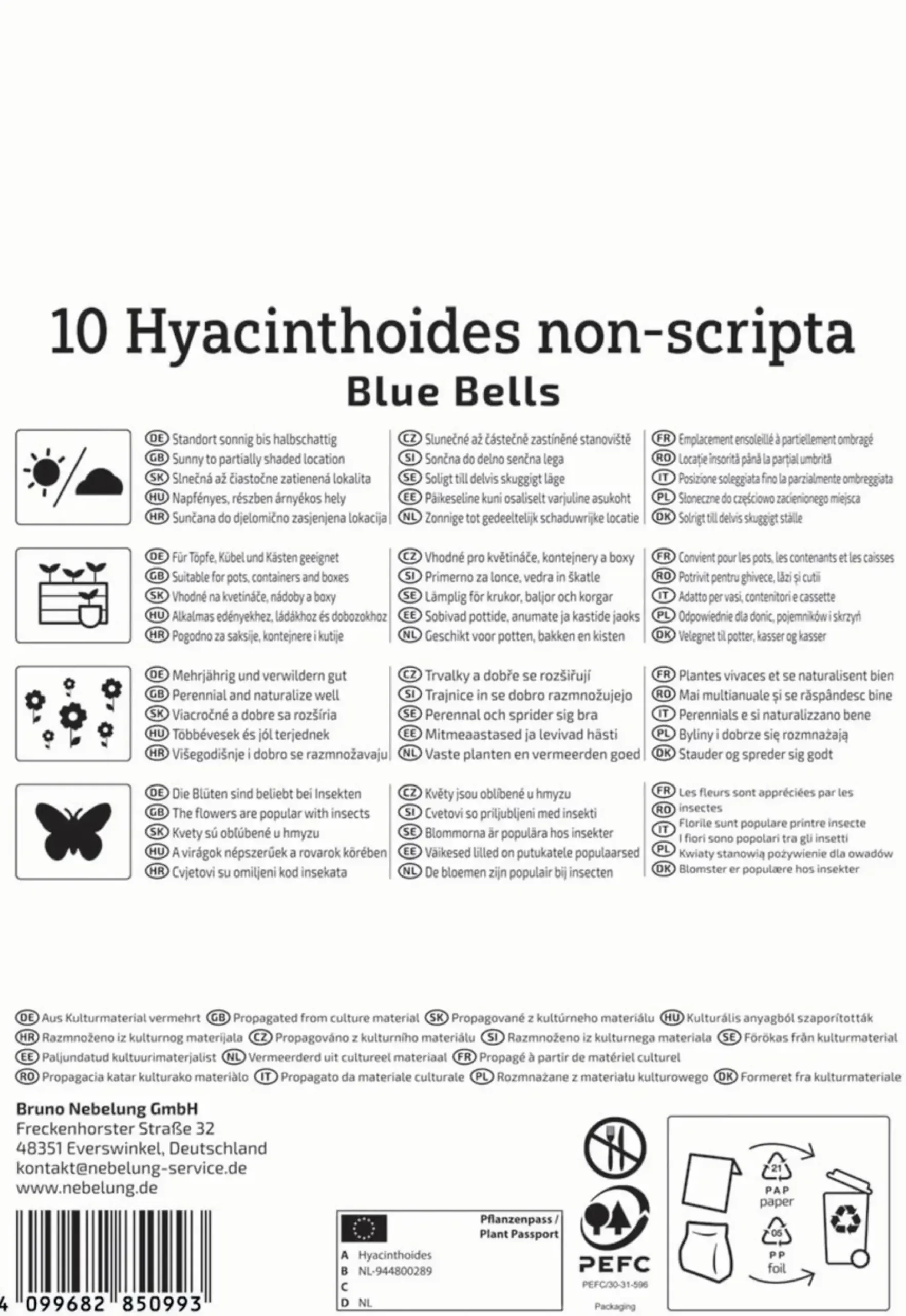 Kiepenkerl Herbstblumenzwiebel Profi-Line Hasenglöckchen Blue Bells 10 Stück