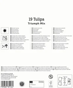 Kiepenkerl Herbstblumenzwiebelmischung Mega-Pack Triumph-Tulpen 19 Stück